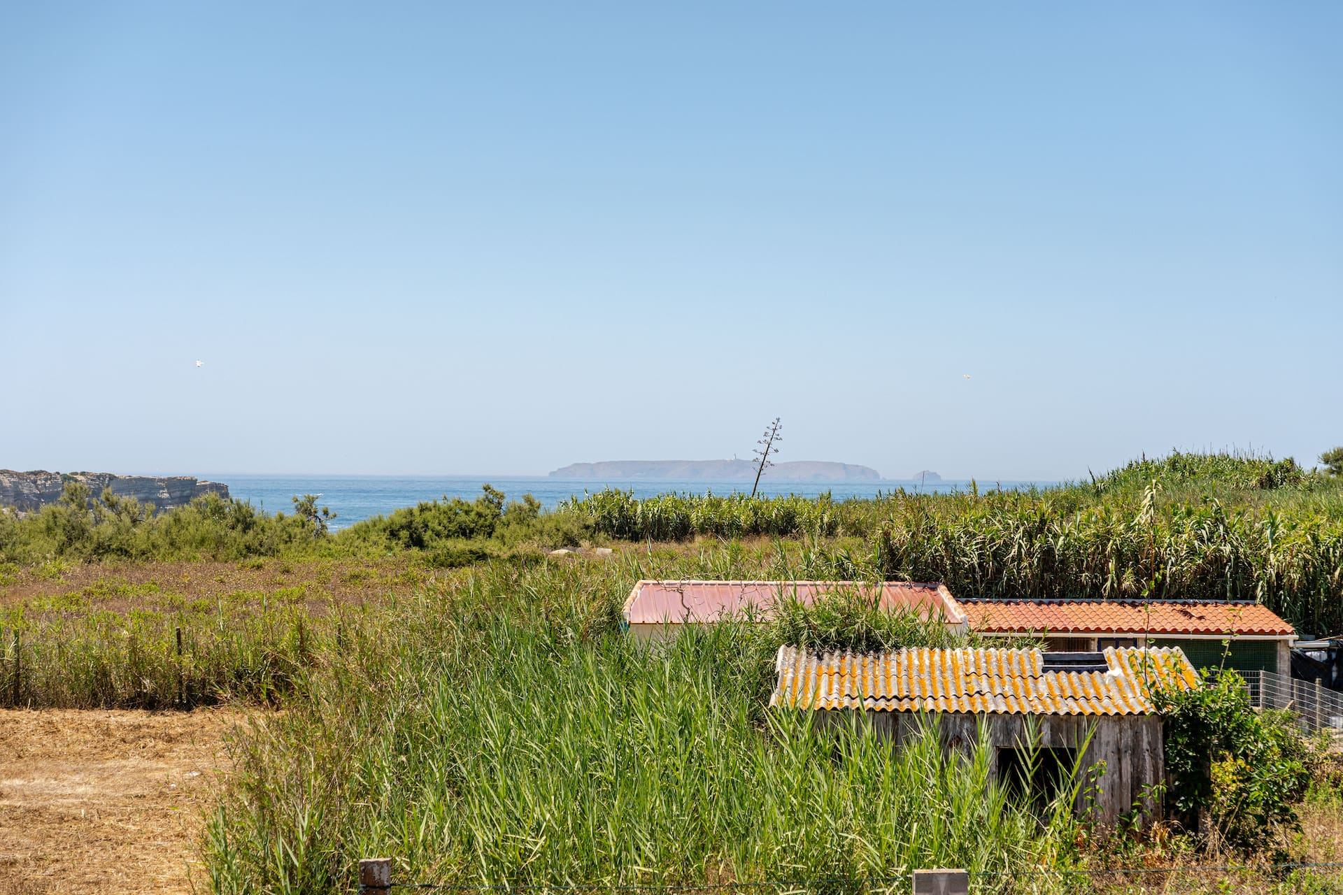 Apartamento SurfPeniche Ocean View em Peniche — vista para o campo e o mar